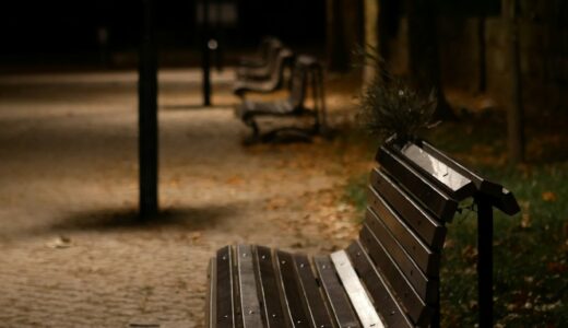 白昼夢は醒めるもの